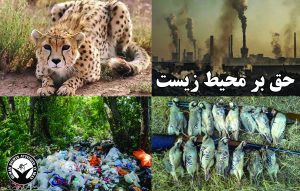 نگاهی به گزارشات محیط‌ زیستی در ایران