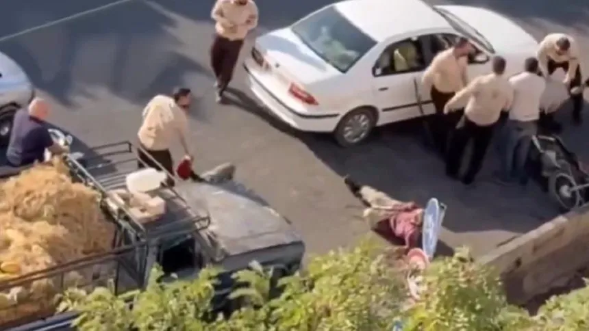 تهدید شهروند منتشرکننده ویدیو ضرب‌و جرح