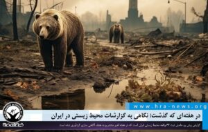 نگاهی به گزارشات محیط زیستی در ایران